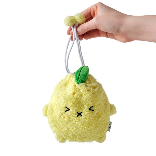 Ricelemon Fruit Pouch